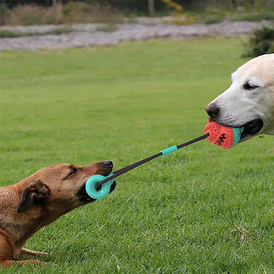 새로운 디자인 롤링 개 놀이 공 퍼즐과 애완 동물을위한 씹는 장난감은 고무 공 장난감 무한 스크롤 개 장난감을 취급합니다