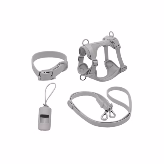 애완 동물 액세서리 6 in 1 세트 네오프렌 맞춤형 패턴 인쇄 폴리 에스터 개 Harnees/칼라/Bowtie/Poo Bag/두건/끈